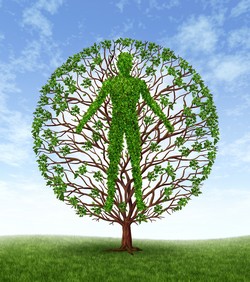 human growth and development